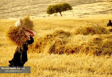 فعالیت کشاورزی زنان در ایران