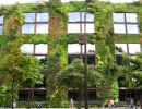 ساختمان محیط زیستی