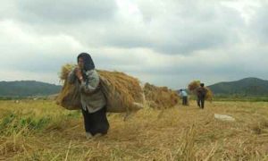 زنان کشاورز