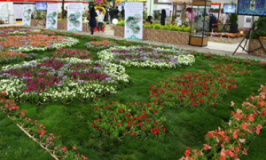 نمایشگاه بین‌المللی باغبانی